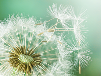 Bővebb információk fertőtlenítő cégünkről